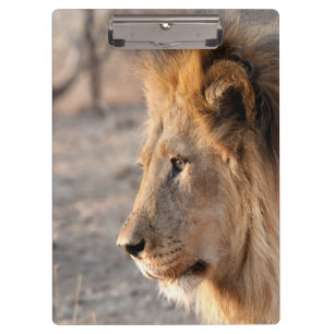 Lion Portrait Clipboard