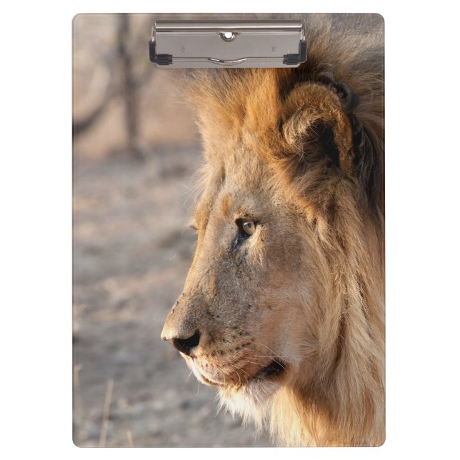 Lion Portrait Clipboard (Front)