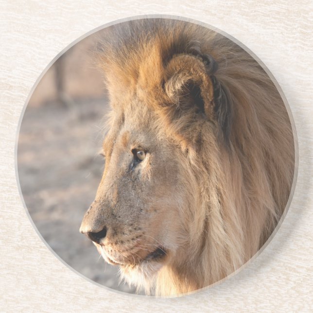 Lion Portrait Coaster (Front)