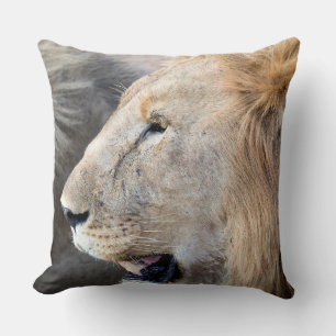 Lion Portrait Cushion