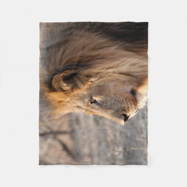 Lion Portrait Fleece Blanket (Front)