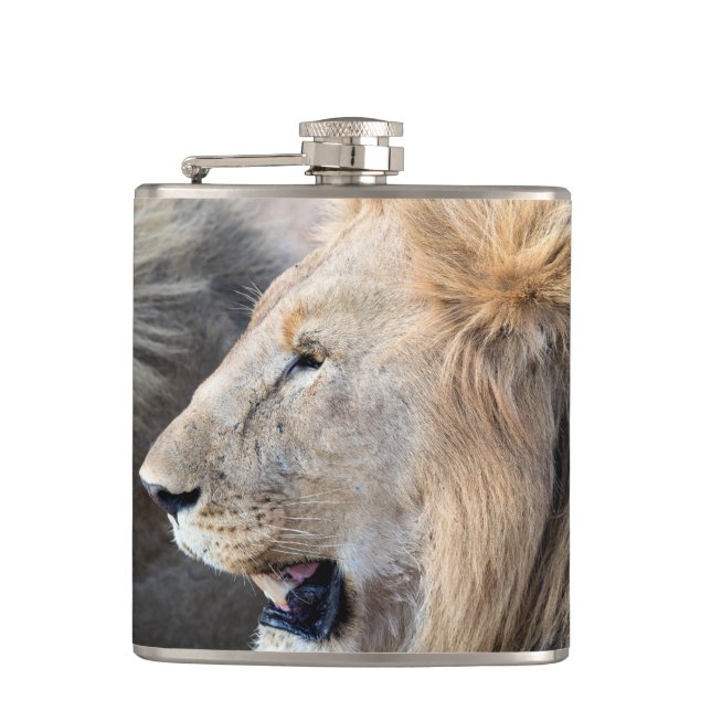 Lion Portrait Hip Flask (Front)