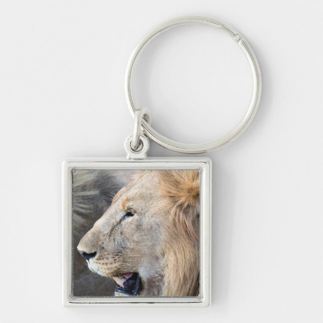 Lion Portrait Key Ring (Front)
