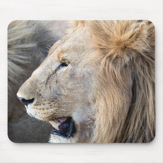 Lion Portrait Mouse Pad (Front)