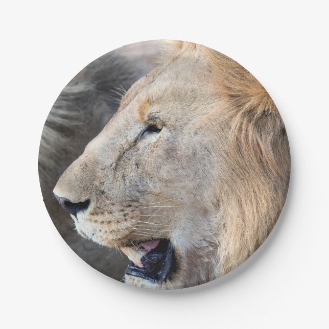 Lion Portrait Paper Plate (Front)