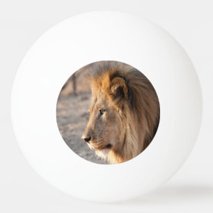 Lion Portrait Ping Pong Ball