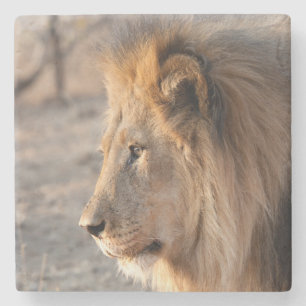 Lion Portrait Stone Coaster