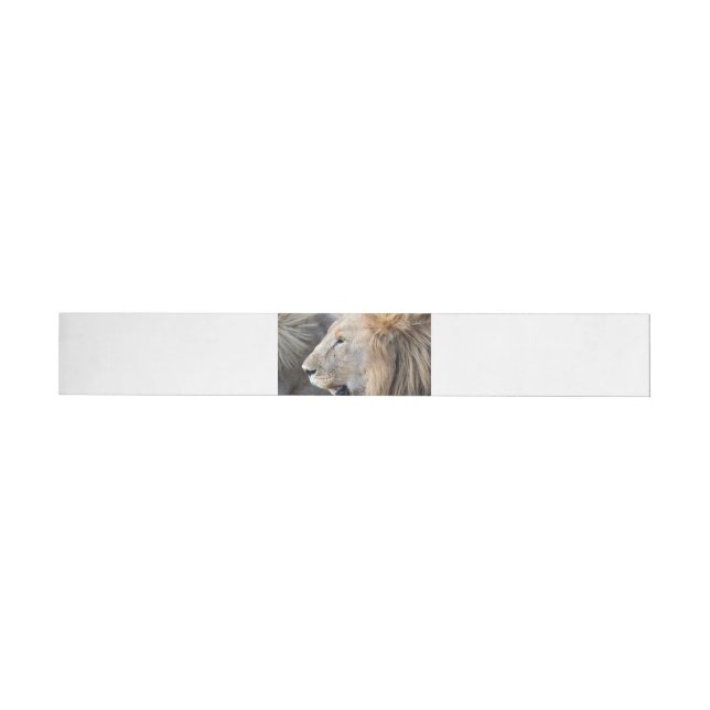 Lion Portrait Wrap Around Label (Individual)