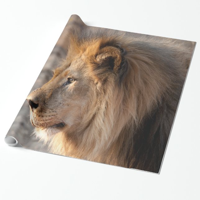 Lion Portrait Wrapping Paper (Unrolled)
