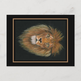 Lion postcard