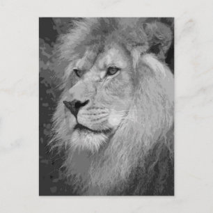 Lion Postcard