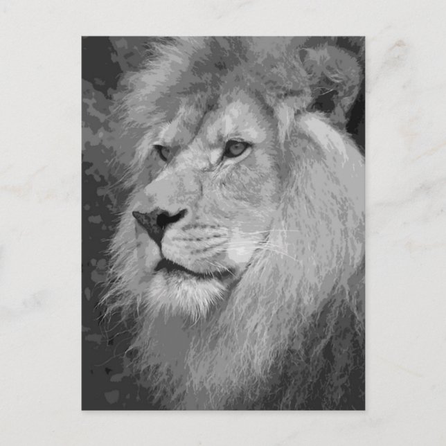 Lion Postcard (Front)