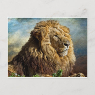 Lion Postcard