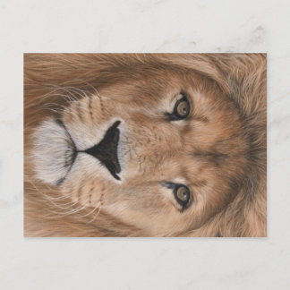 Lion Postcard