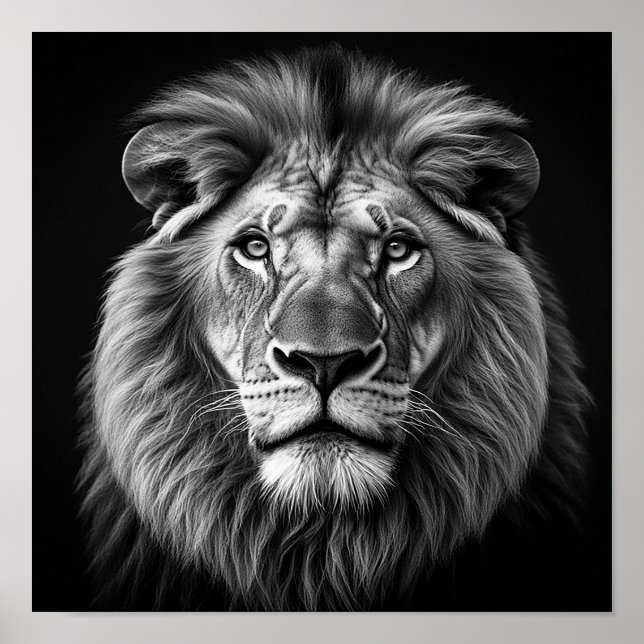 Lion Poster (Front)
