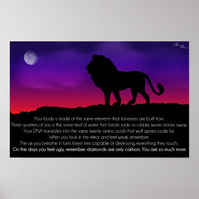 Lion Poster (Front)