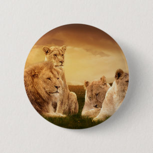 Lion pride 6 cm round badge