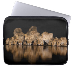 Lion Pride Drinks at the Water Hole at Night Laptop Sleeve