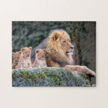 Lion Pride