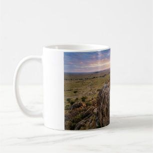 Lion Pride Resting on a Rock Coffee Mug