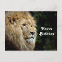 Lion Profile Wildlife Photo Birthday