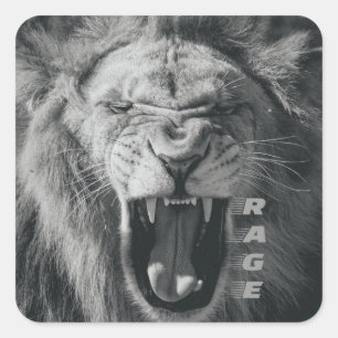 Lion Rage Black and White Roar Square Sticker