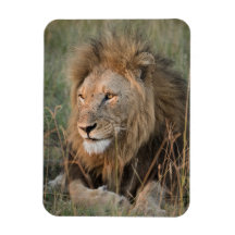 LION Refrigerator Magnet YOUR Photo Template