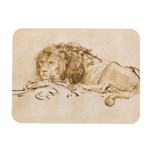 Lion Resting (pen and ink on paper) Magnet