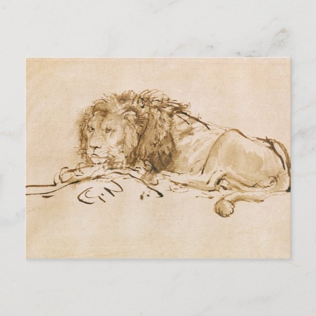 Lion Resting (pen and ink on paper) Postcard (Front)