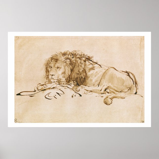 Lion Resting (pen and ink on paper) Poster (Front)