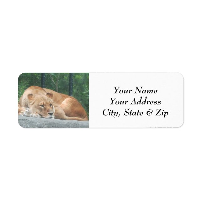 Lion Return Address Labels (Front)