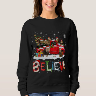 Lion Riding Red Truck Christmas Tree Believe Santa Sweatshirt