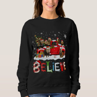 Lion Riding Red Truck Christmas Tree Believe Santa Sweatshirt