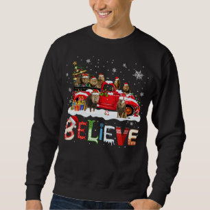 Lion Riding Red Truck Christmas Tree Believe Santa Sweatshirt