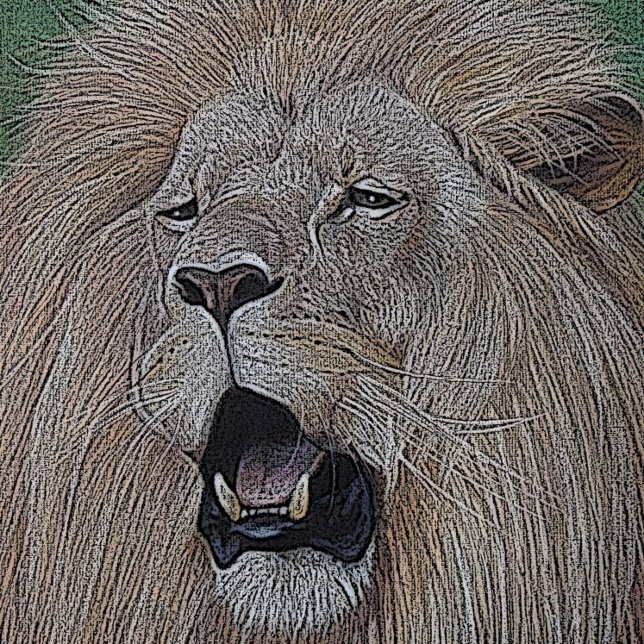 lion roaring big cat wildlife realist art hip flask (Creator Uploaded)