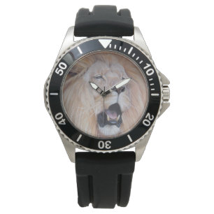 lion roaring big cat wildlife watch