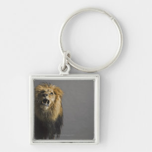 Lion roaring key ring