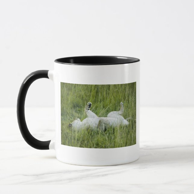 Lion rolling in the tall grass, Africa Mug (Left)