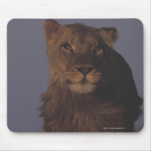 Lion Running Mouse Pad