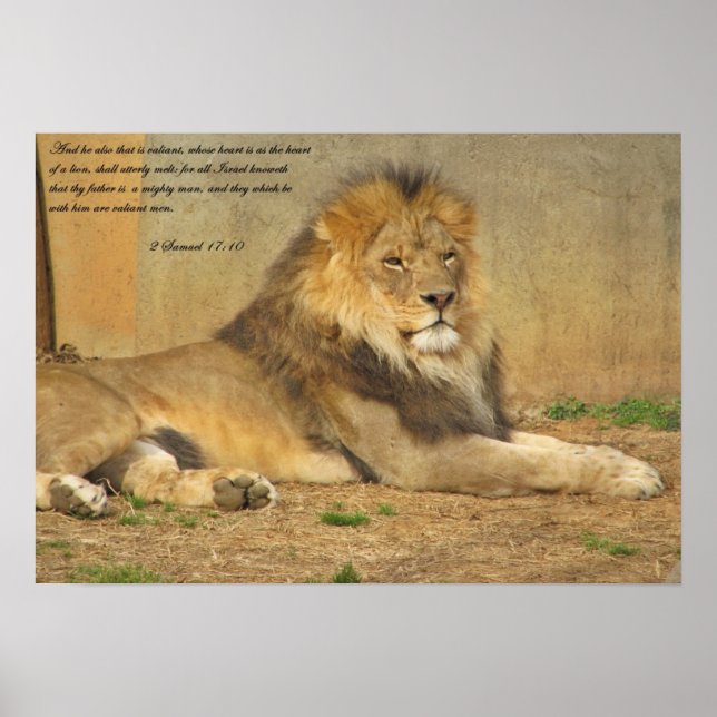 Lion Scripture Poster (Front)