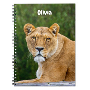 Lion Spiral notebook