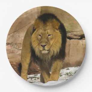 Lion Standing on Snow by Rocky Wall Paper Plate