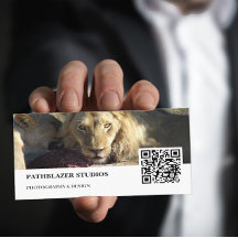 Lion Stare | Wildlife Photography |