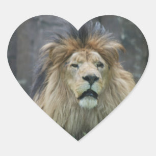 Lion Sticker