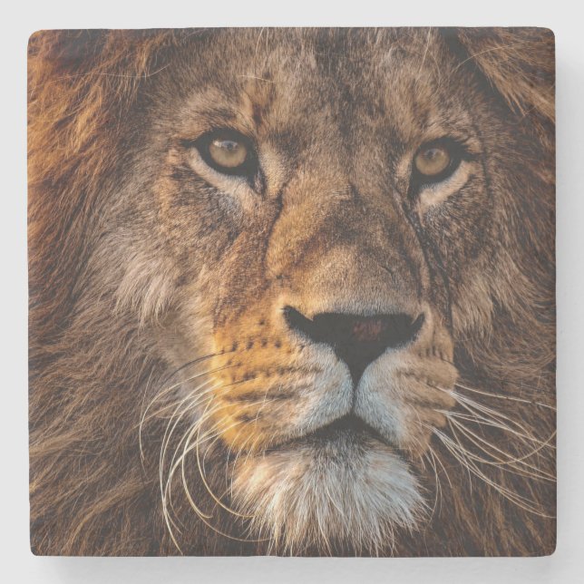 Lion Stone Coaster (Front)