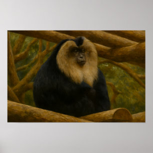Lion-Tailed Macaque in Forest Sanctuary Poster