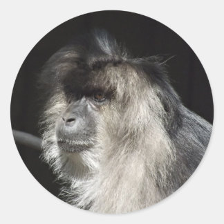 Lion-Tailed Macaque Portrait Classic Round Sticker