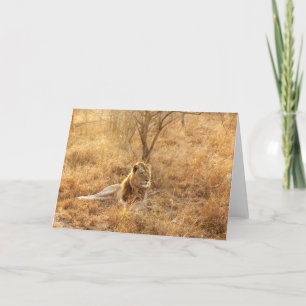 Lion Thank You Card