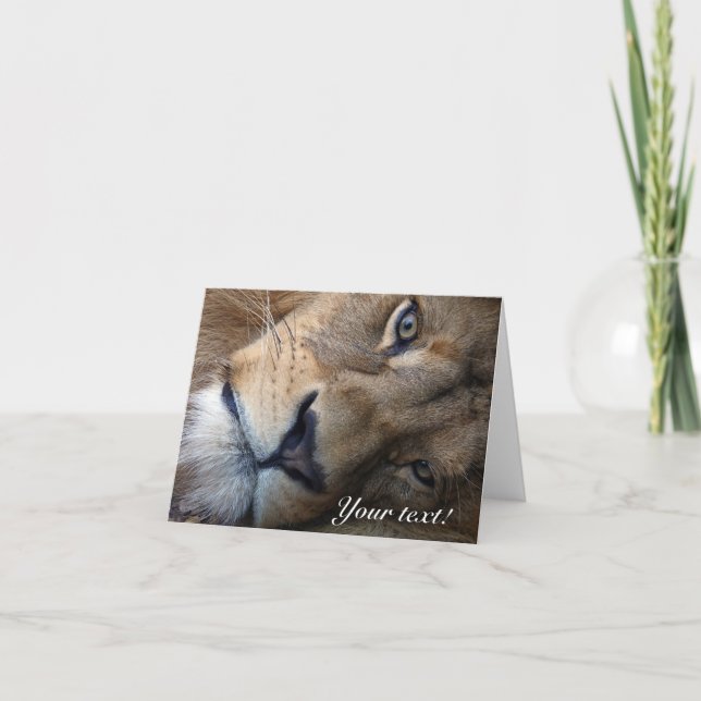 Lion Thank You Card (Front)