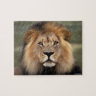 Lion - The King of The Jungle Jigsaw Puzzle
